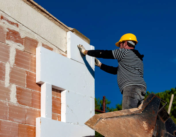 Best Home Insulation Services  in Shepherd, MI