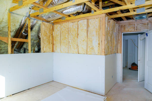 Best Insulation for New Construction  in Shepherd, MI