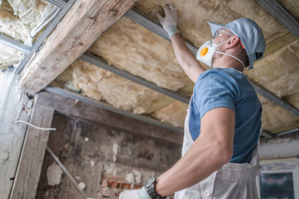 Best Affordable Insulation Services  in Shepherd, MI