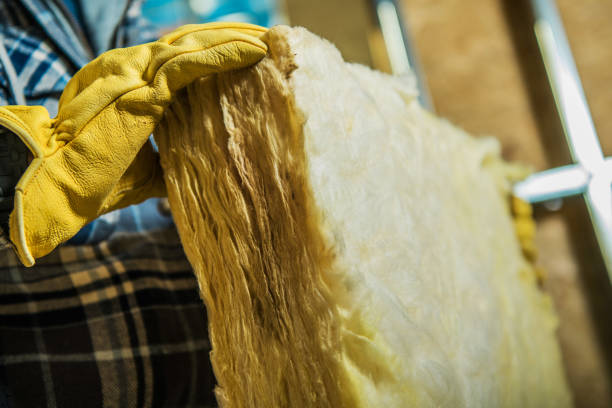 Best Professional Insulation Contractor  in Shepherd, MI