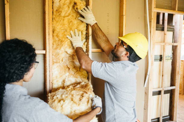 Professional Insulation Contractor in Shepherd, MI