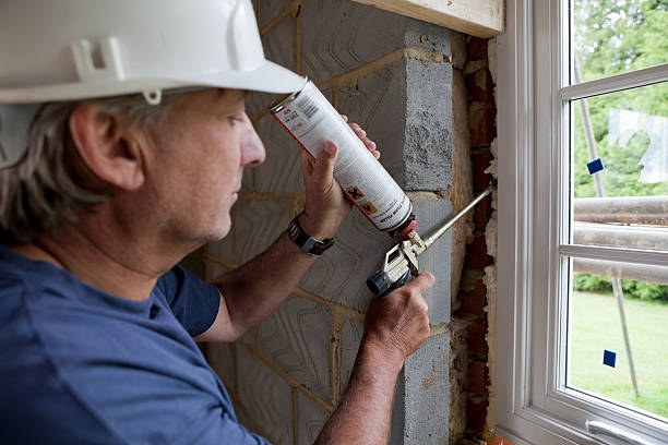 Best Insulation Contractor Near Me  in Shepherd, MI