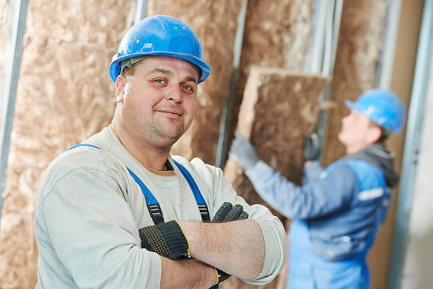 Best Wall Insulation Contractor  in Shepherd, MI